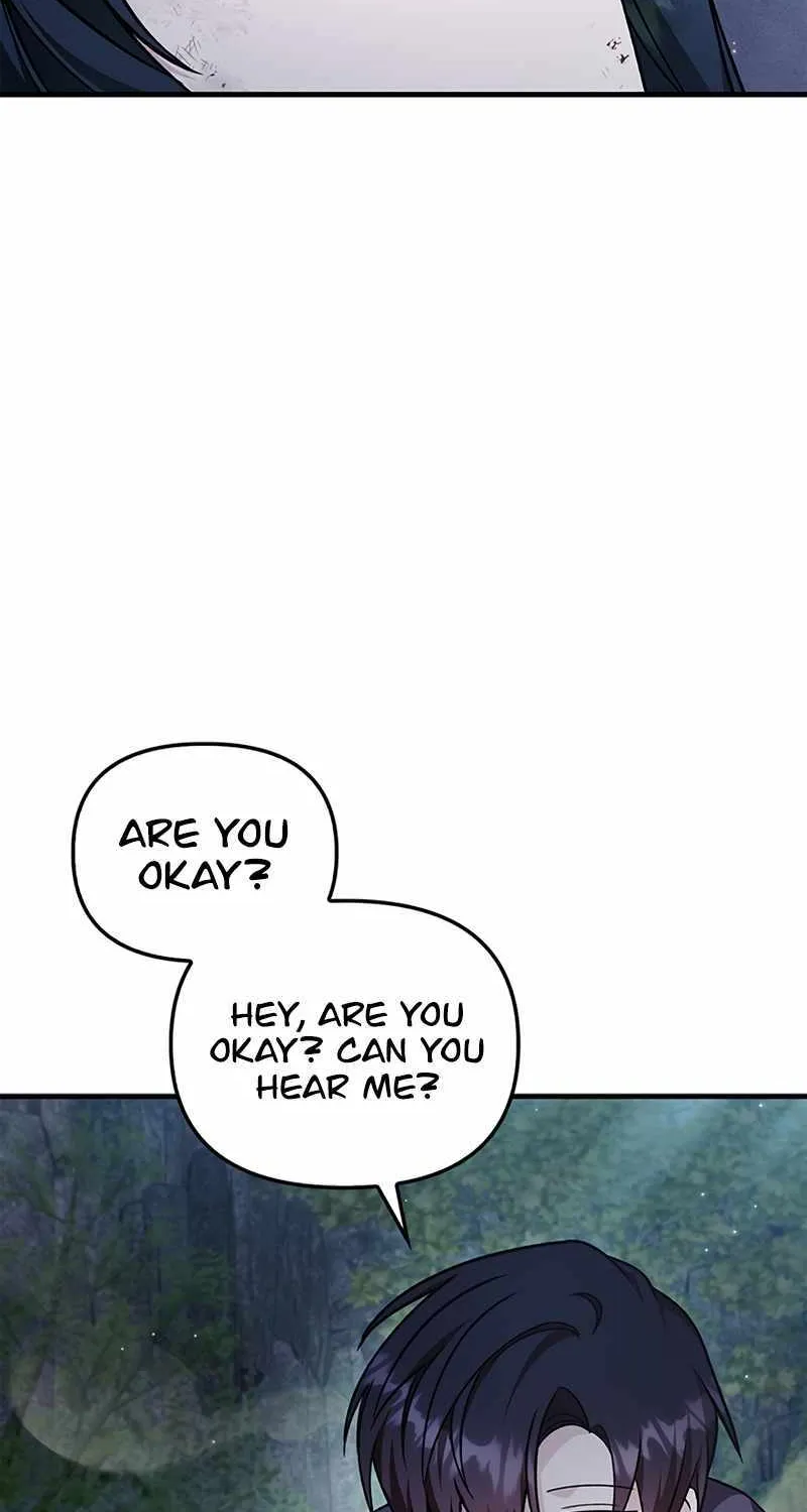 Regressor Instruction Manual Chapter 85 page 65 - 