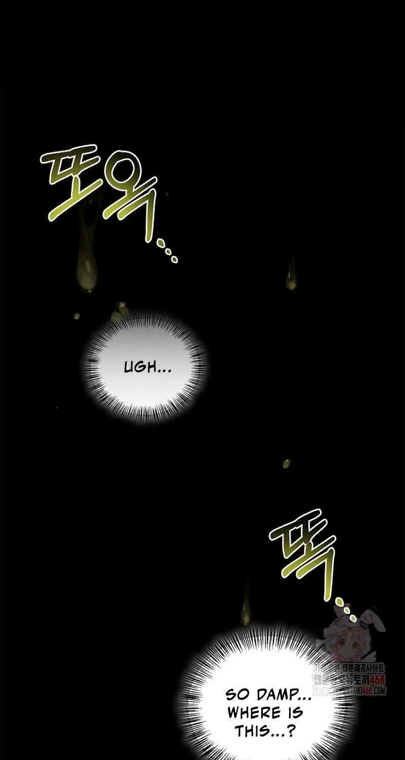 Regressor instructional manual Chapter 138 page 116 - 