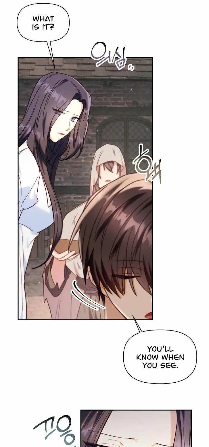 Regressor instructional manual Chapter 46 page 77 - 