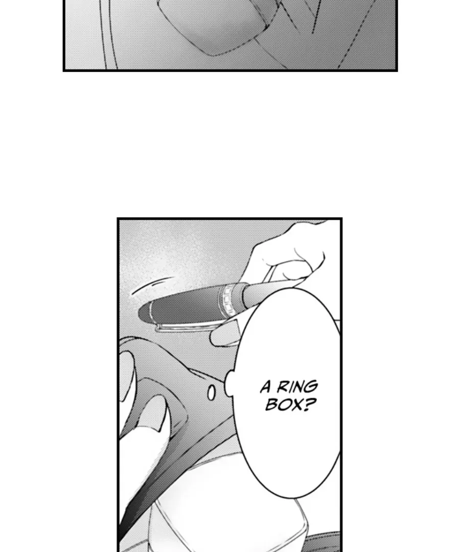 Reigniting Beastly Desires~Intense Love after a Decade Chapter 44 page 3 - 