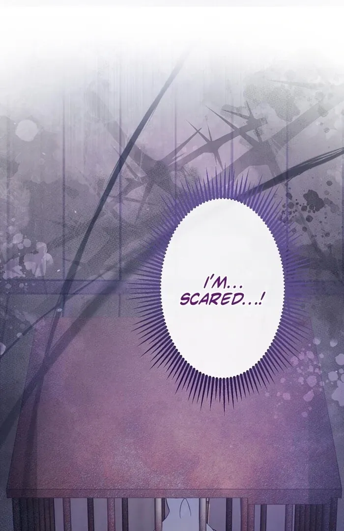 Reikoku Koushaku wa Azarashi Hime ni Shuuchaku Chuu Chapter 3 page 41 - 