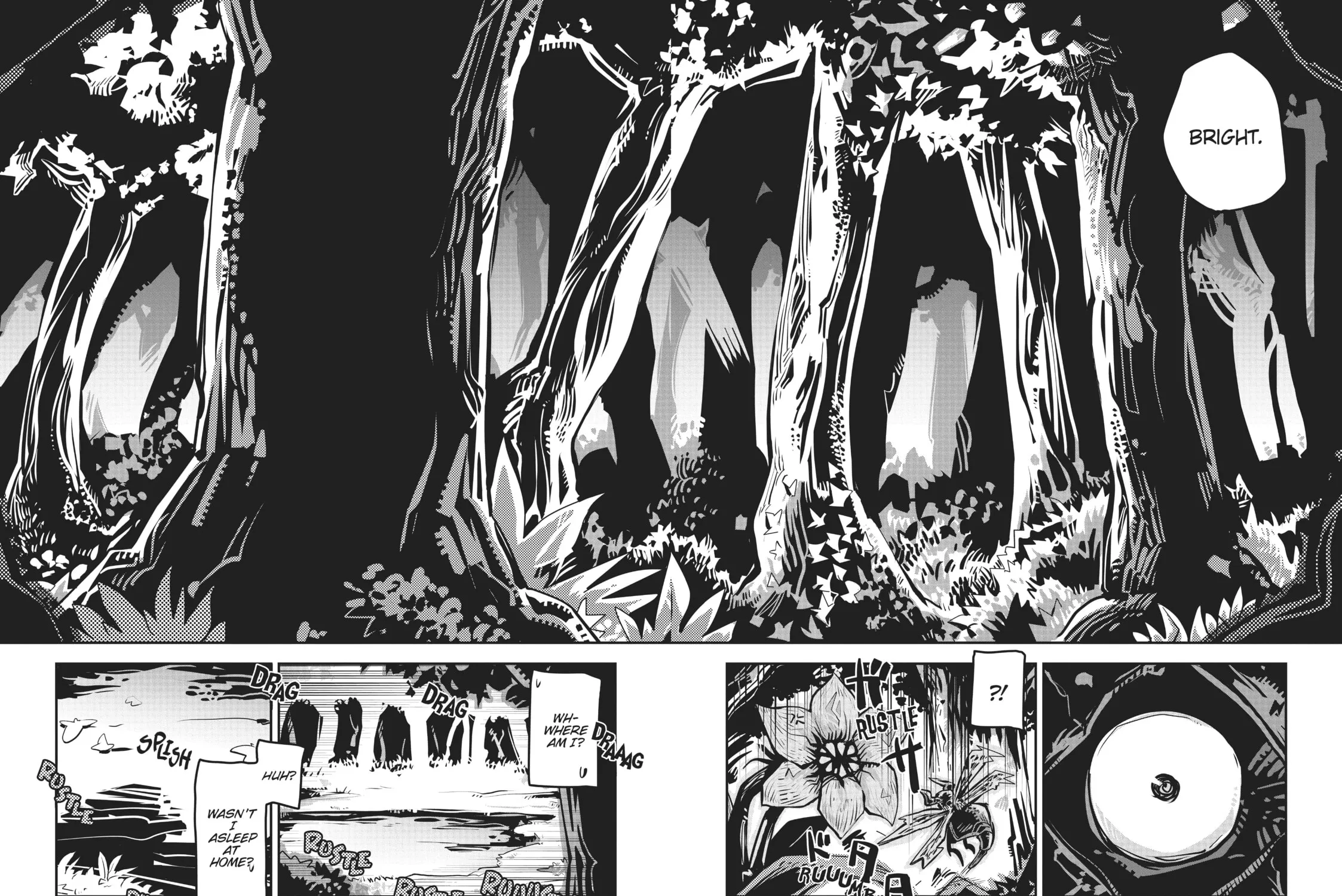 Reincarnated as a Dragon Hatchling Chapter 1 page 3 - 