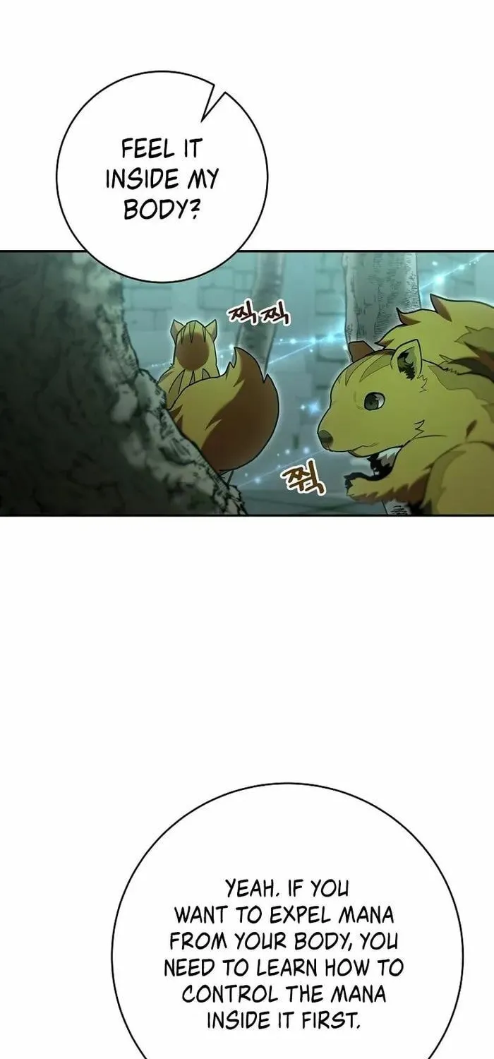 Reincarnated as a Genius Prodigy of a Prestigious Family Chapter 10 page 32 - 