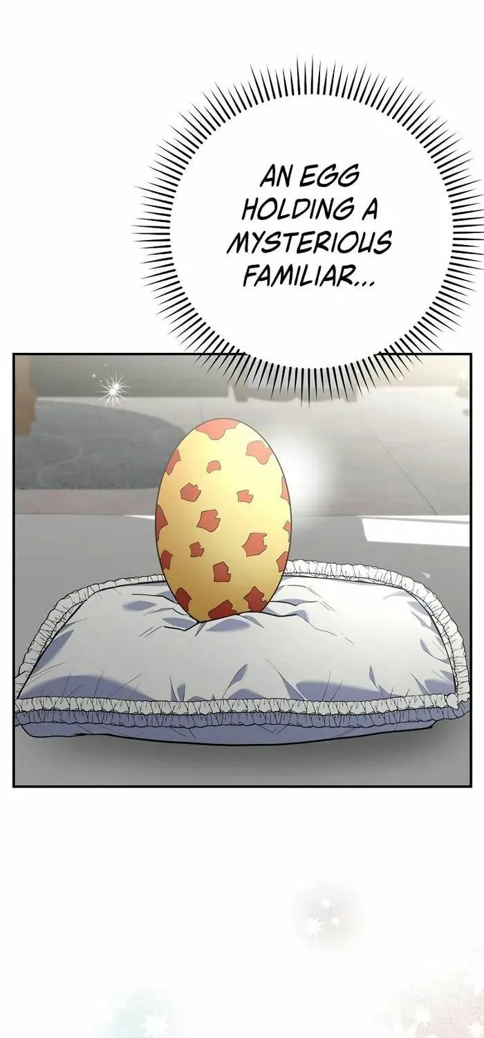 Reincarnated as a Genius Prodigy of a Prestigious Family Chapter 11 page 51 - 