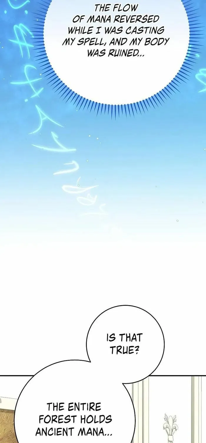 Reincarnated as a Genius Prodigy of a Prestigious Family Chapter 14 page 76 - 
