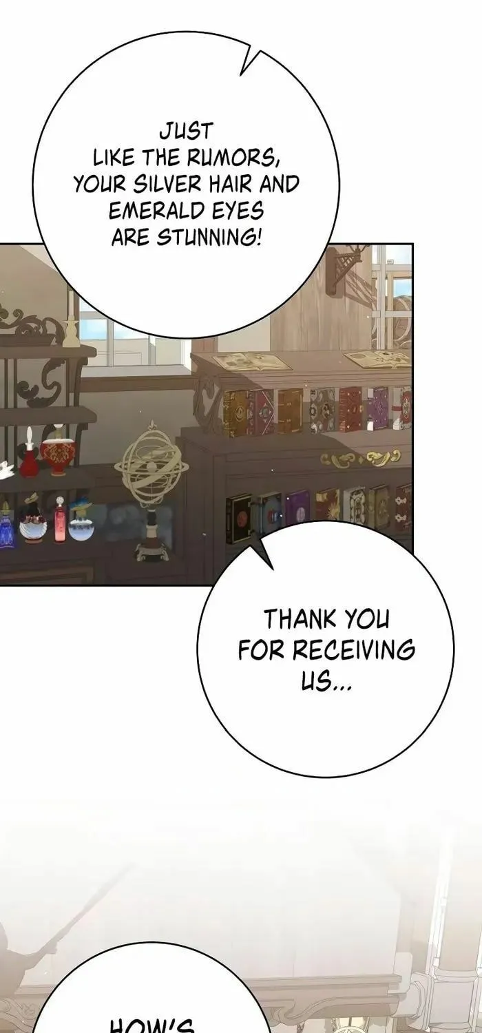Reincarnated as a Genius Prodigy of a Prestigious Family Chapter 19 page 17 - 