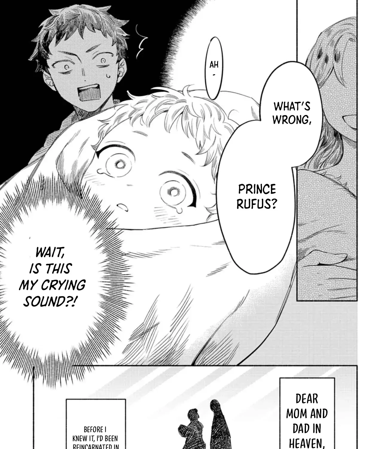 Reincarnated as a Prince with Summon Magic Chapter 1.1 page 22 - 