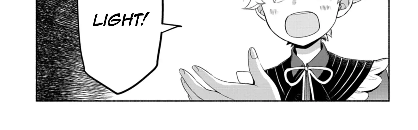 Reincarnated as a Prince with Summon Magic Chapter 3 page 47 - 