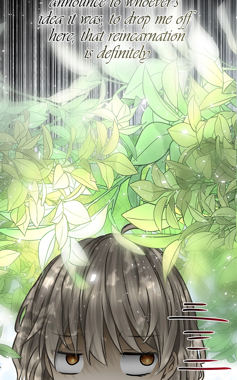 Reincarnated as a Side Character?! Chapter 1 page 9 - 