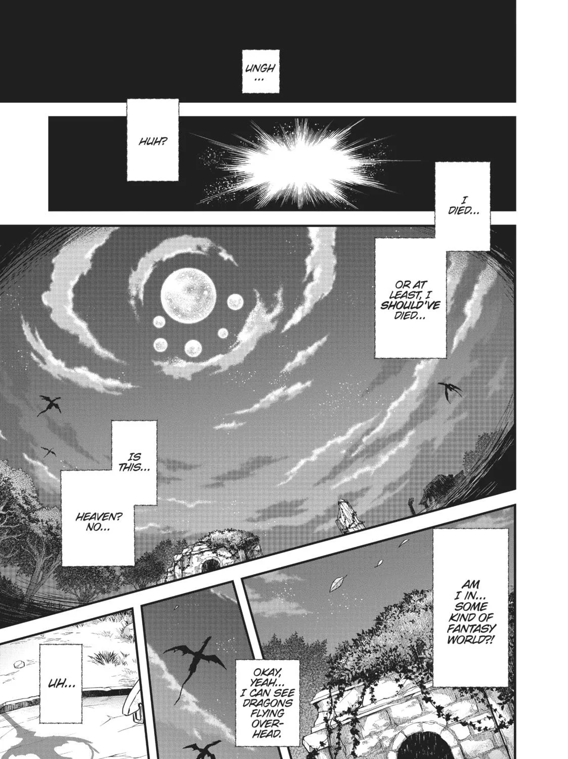 Reincarnated as a Sword Chapter 2 page 5 - 