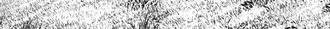 Reincarnated as a Villain Noble Who Dies Mid-Game, So I Tried Using the Useless Skill ‘Tame’ to Aim for the Strongest Chapter 9 page 38 - 