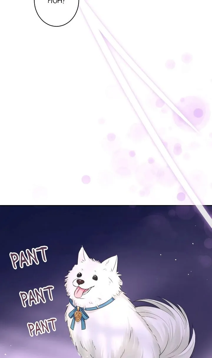 Reincarnated as the Antagonist