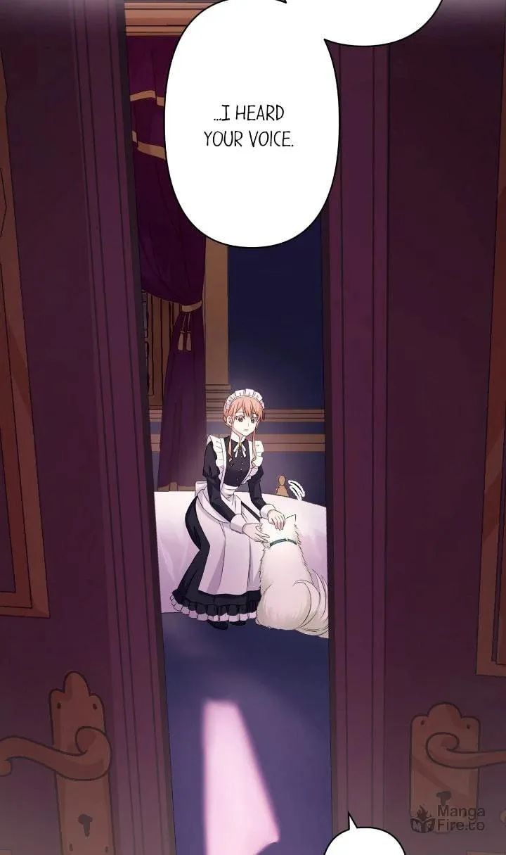Reincarnated as the Antagonist
