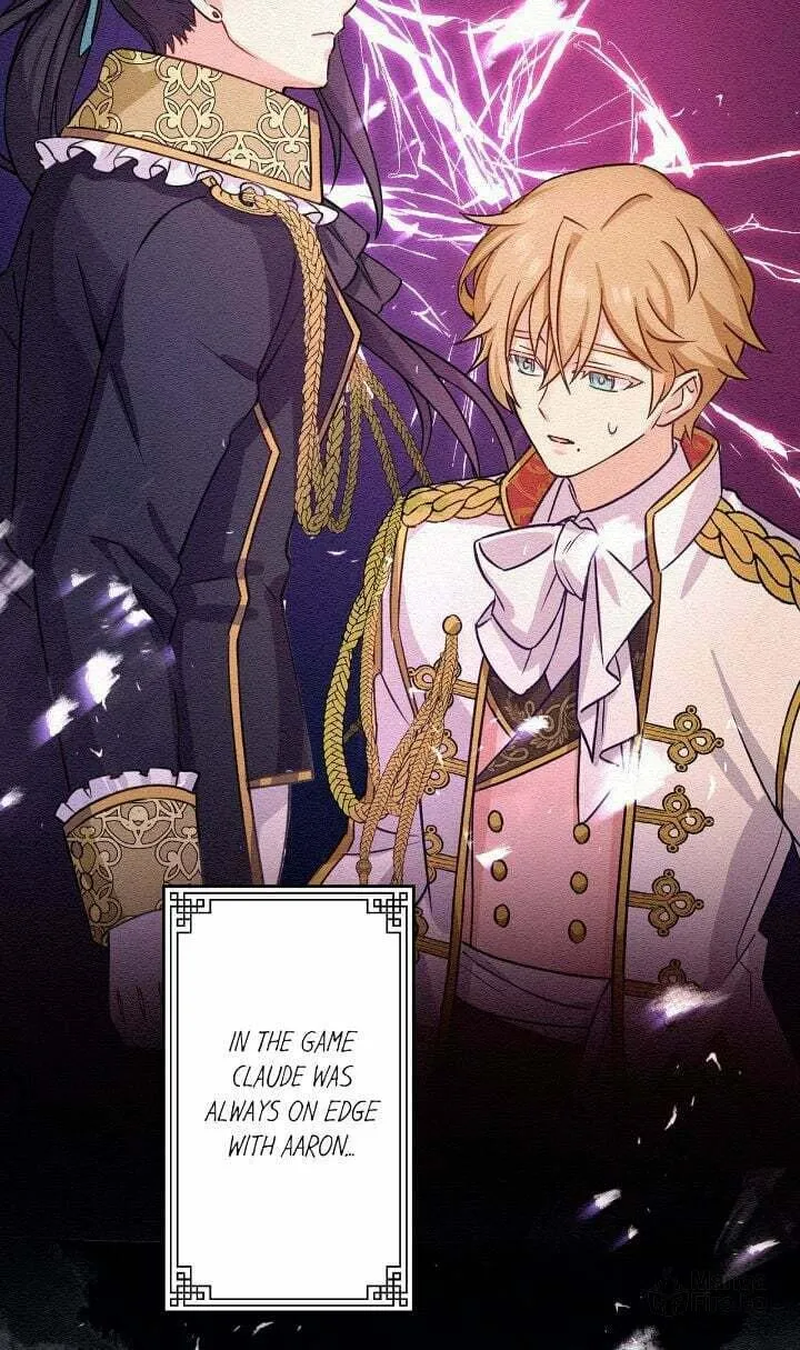 Reincarnated as the Antagonist