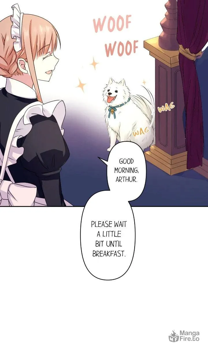 Reincarnated as the Antagonist