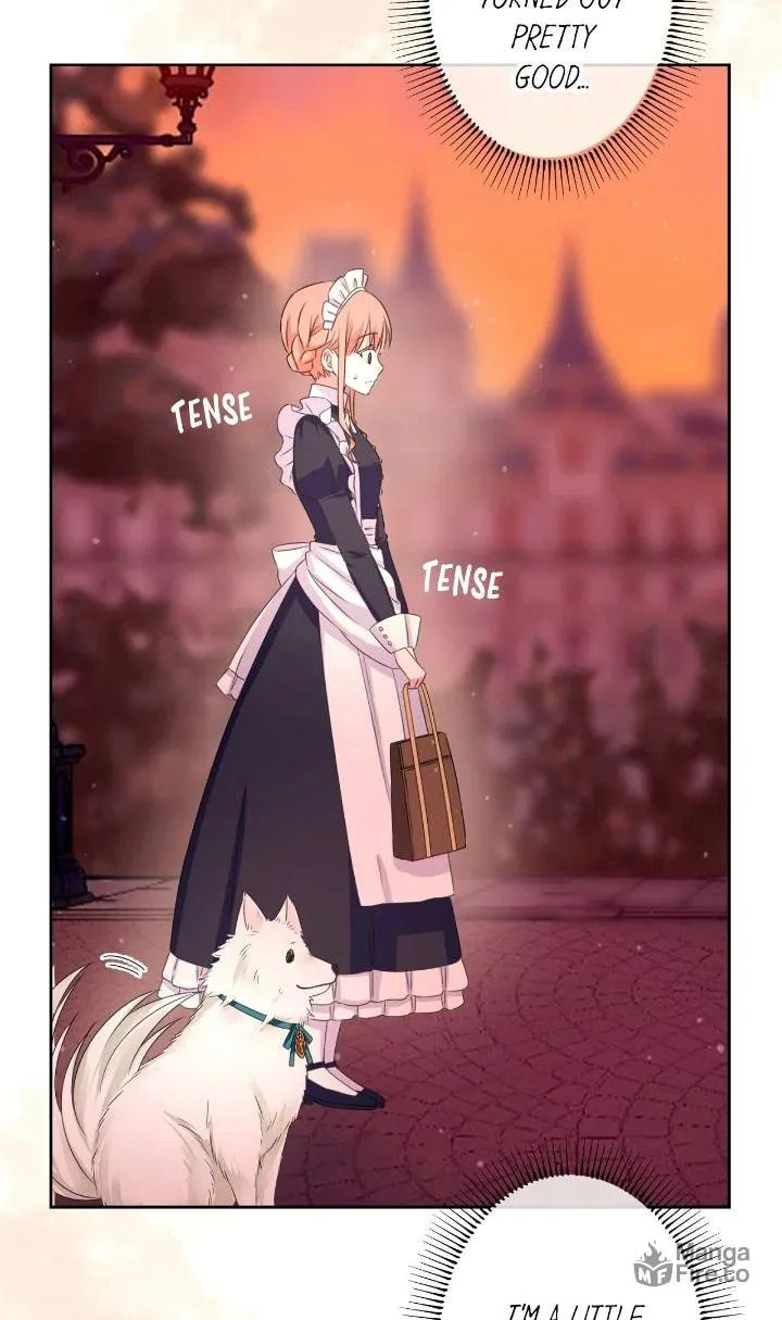 Reincarnated as the Antagonist