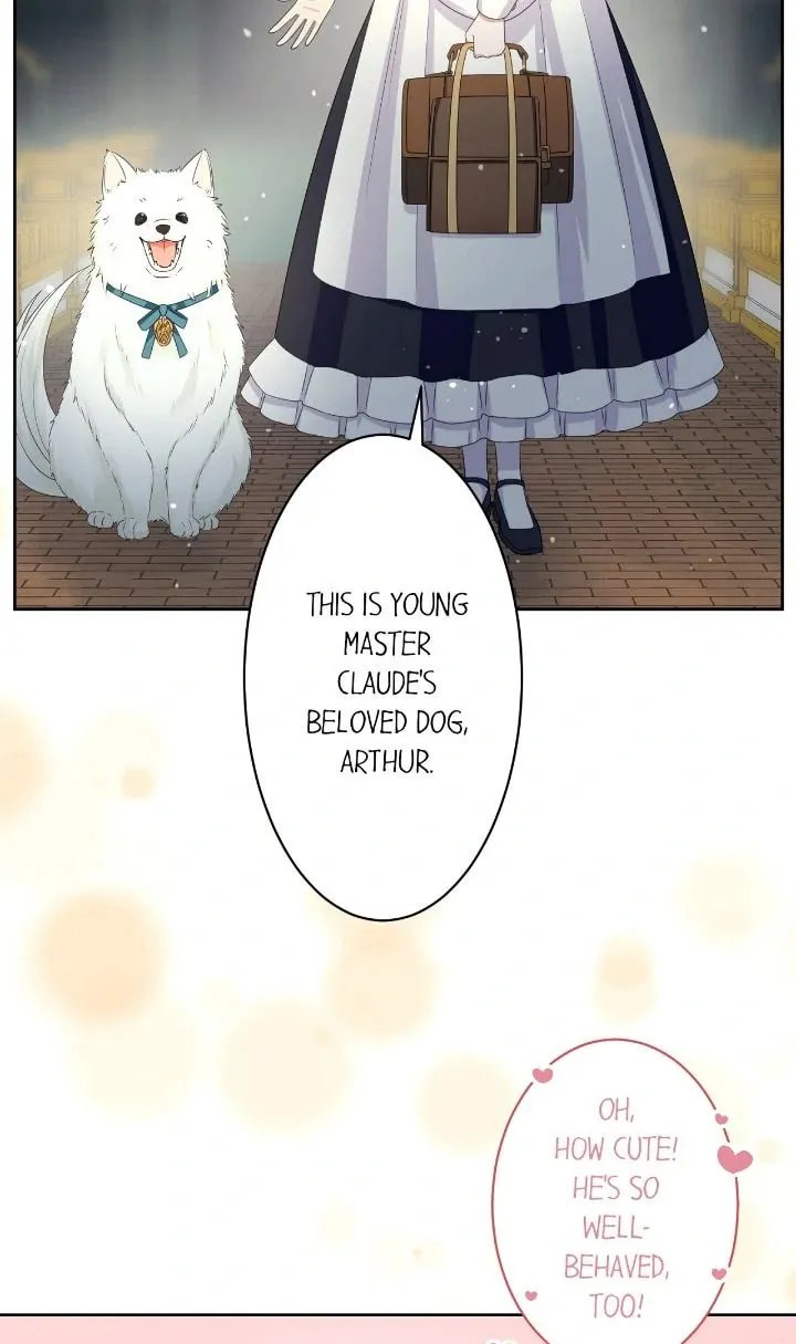 Reincarnated as the Antagonist