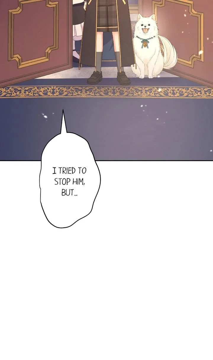 Reincarnated as the Antagonist