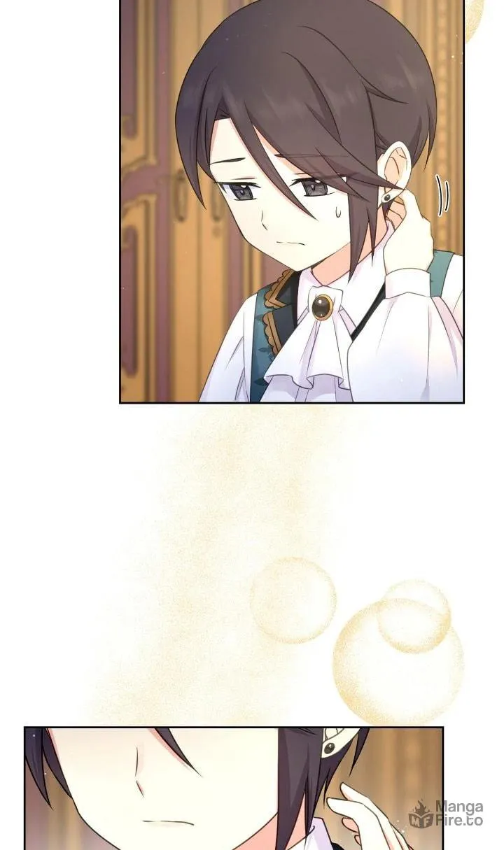 Reincarnated as the Antagonist