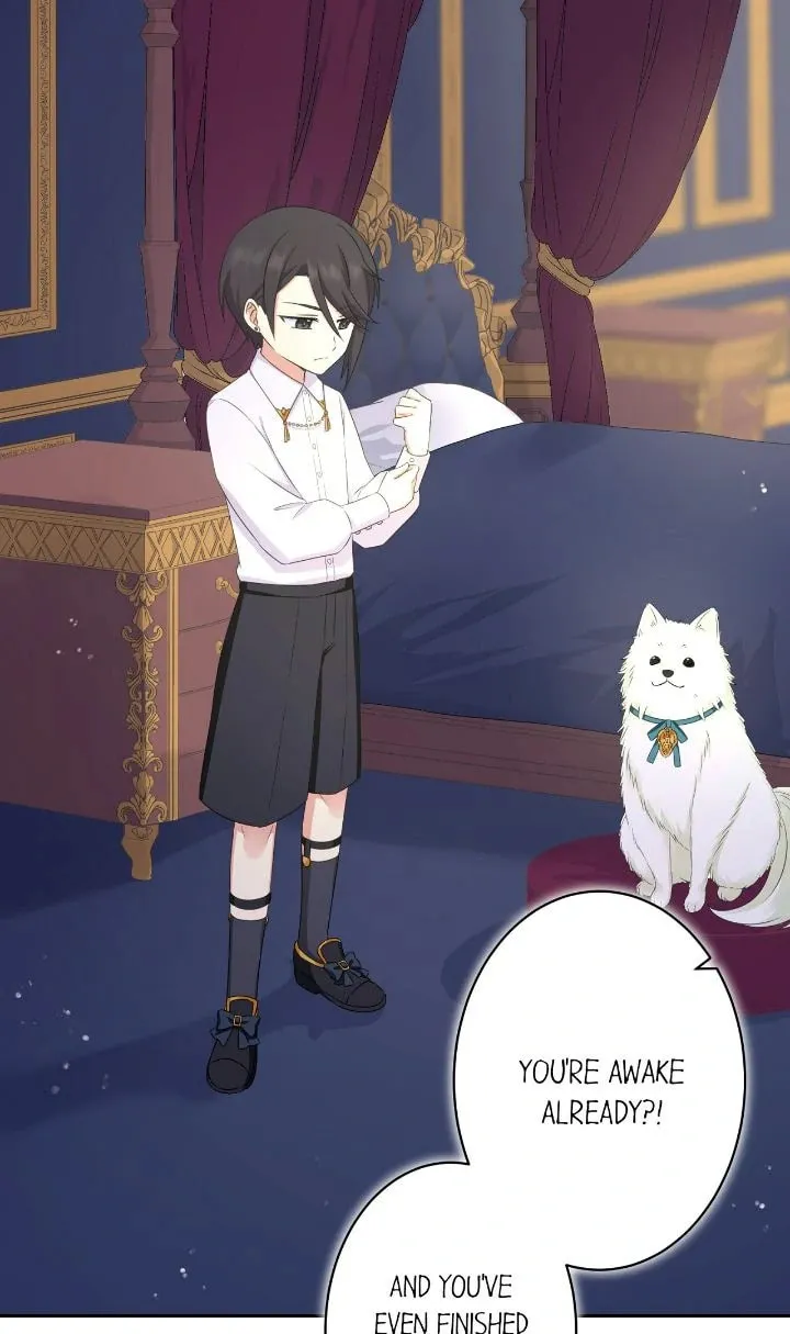 Reincarnated as the Antagonist