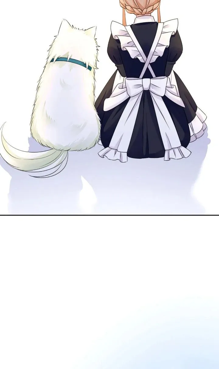Reincarnated as the Antagonist