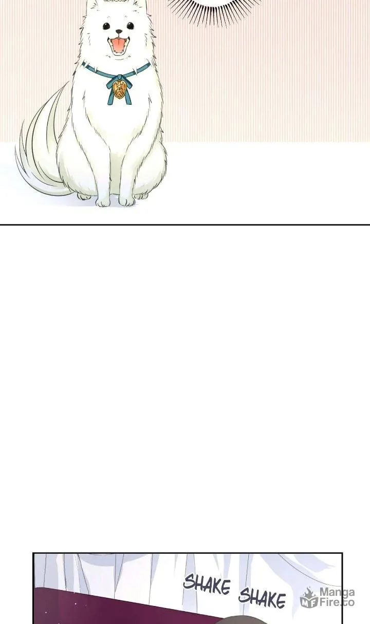 Reincarnated as the Antagonist