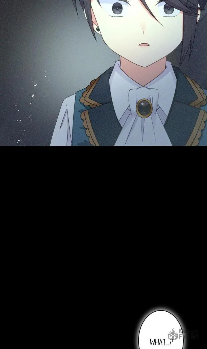 Reincarnated as the Antagonist