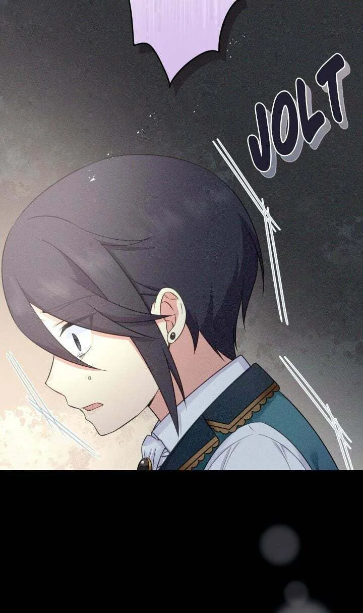 Reincarnated as the Antagonist