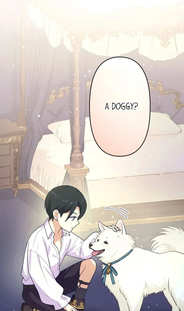 Reincarnated as the Antagonist