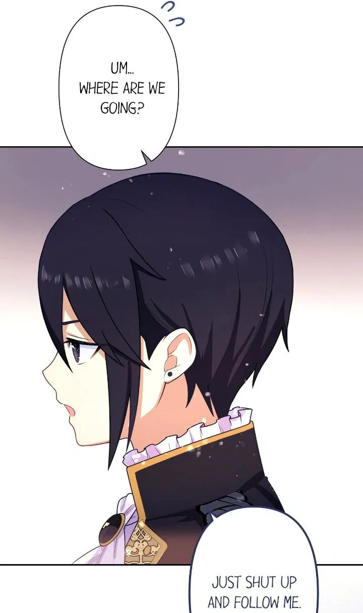 Reincarnated as the Antagonist