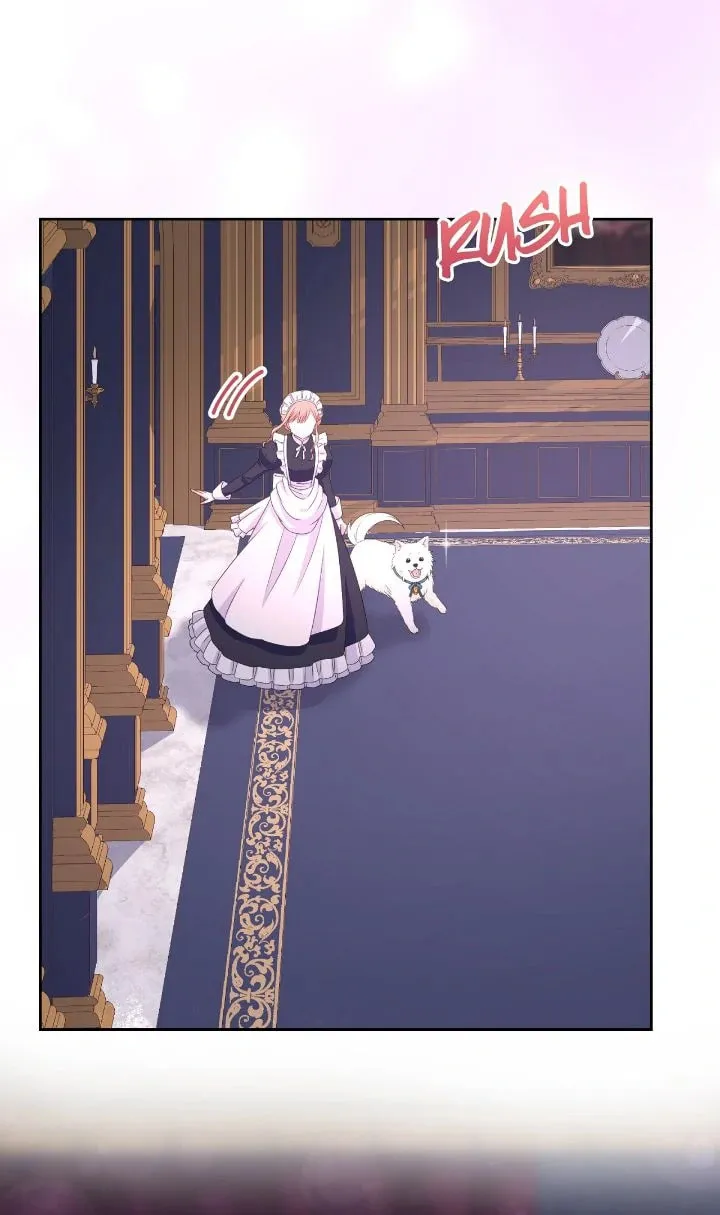 Reincarnated as the Antagonist