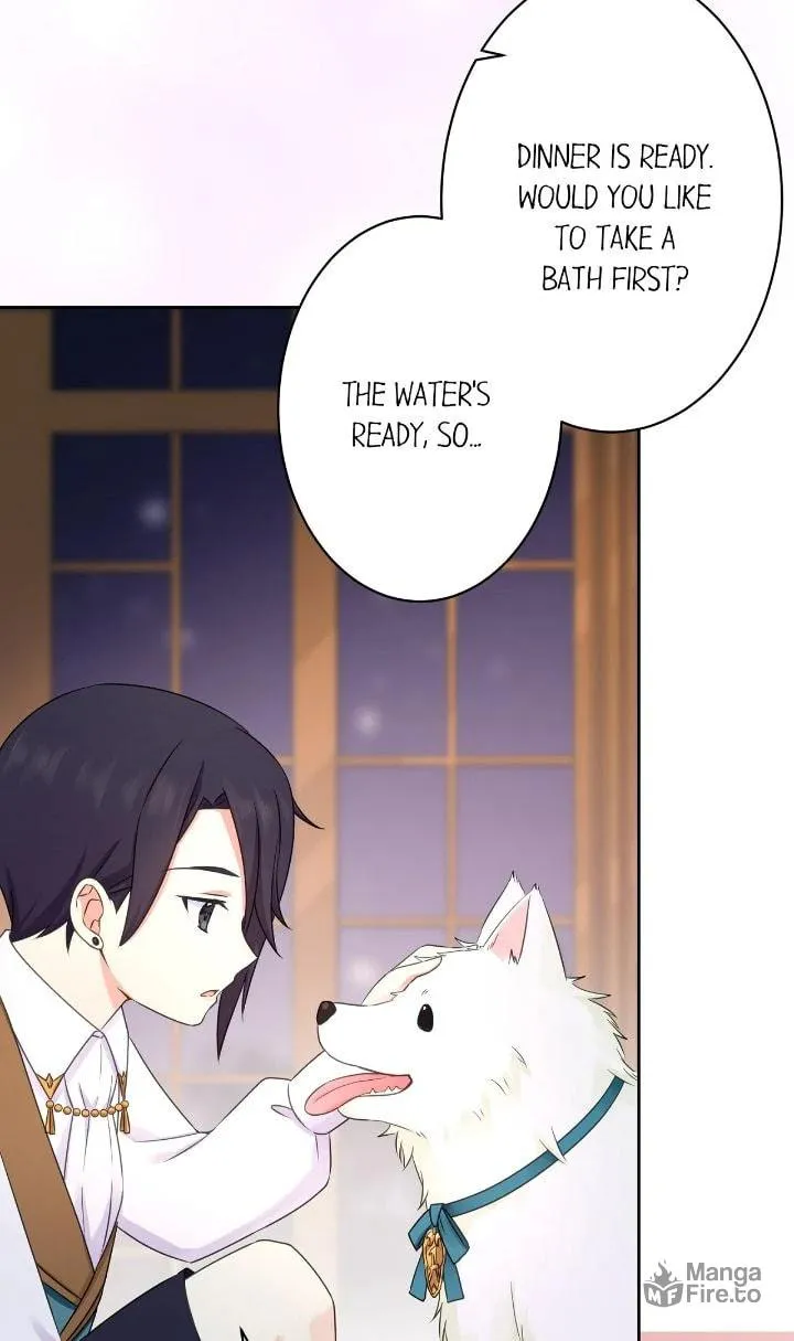 Reincarnated as the Antagonist