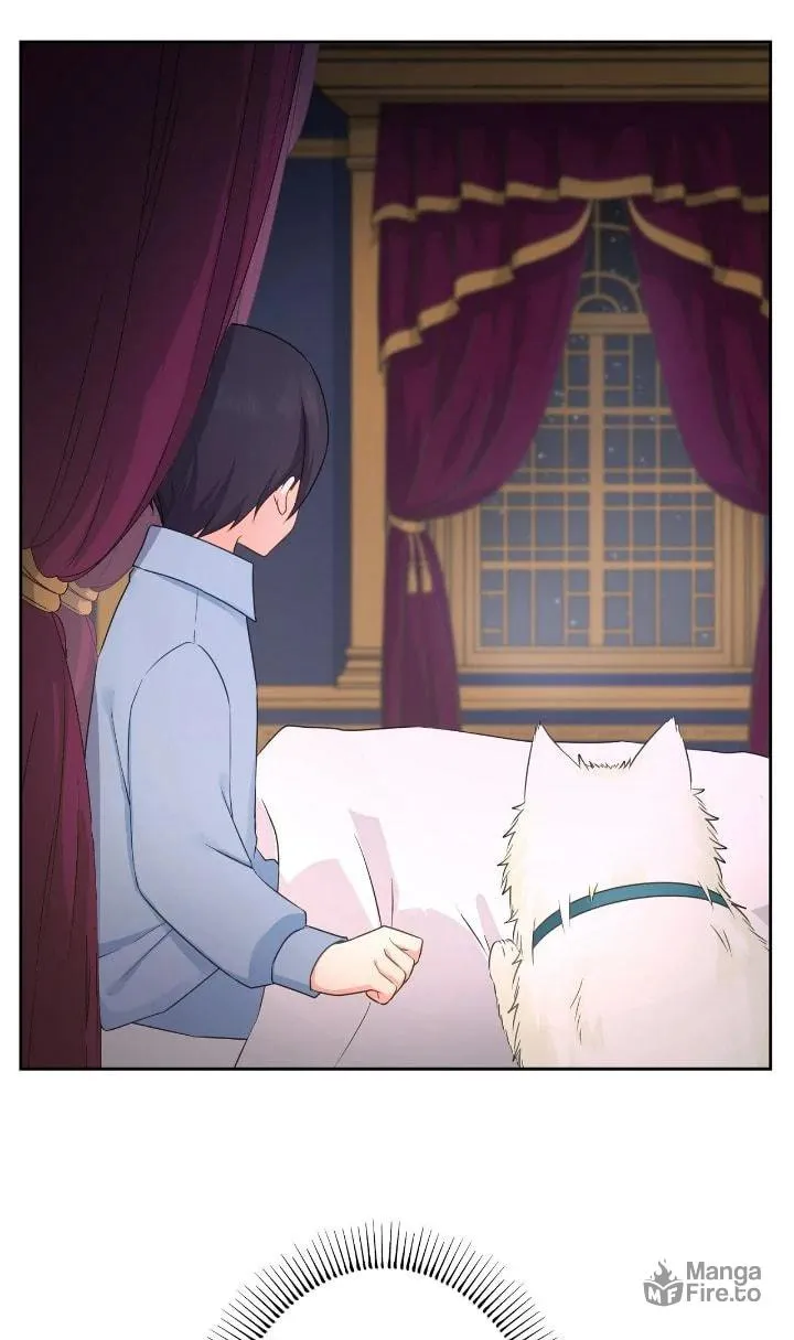 Reincarnated as the Antagonist