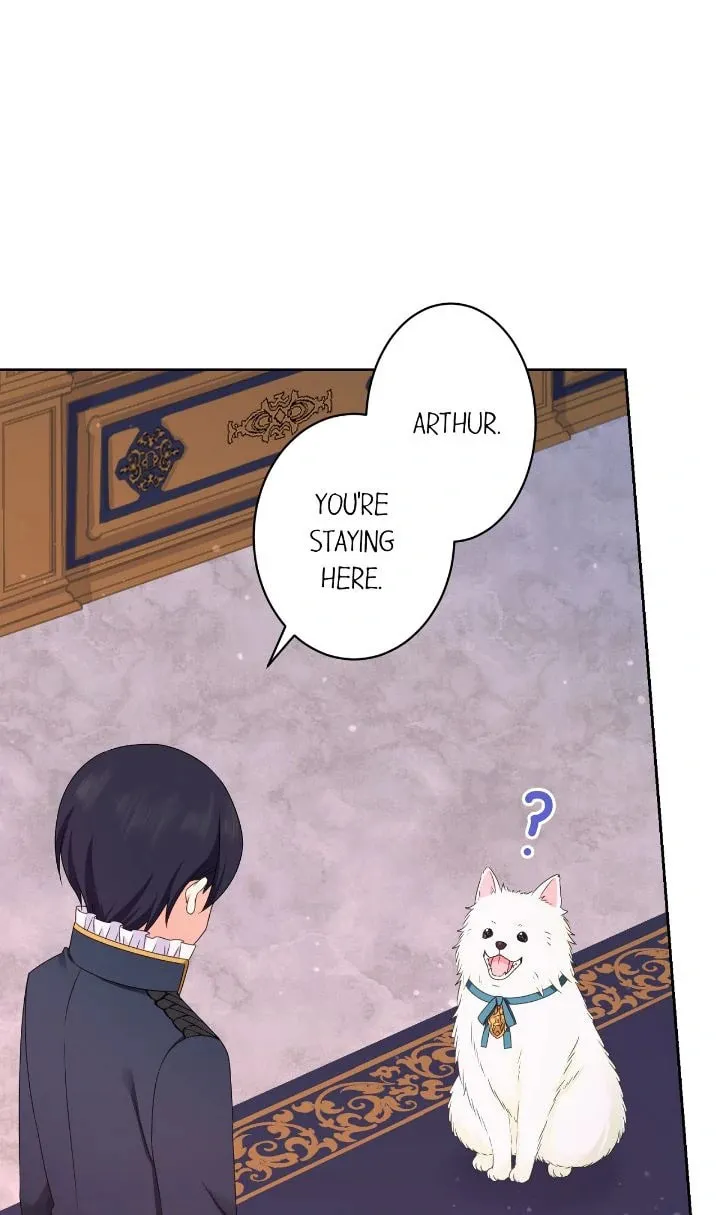 Reincarnated as the Antagonist