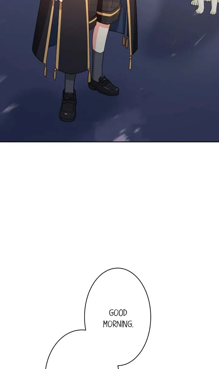 Reincarnated as the Antagonist