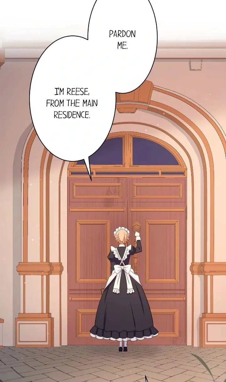 Reincarnated as the Antagonist