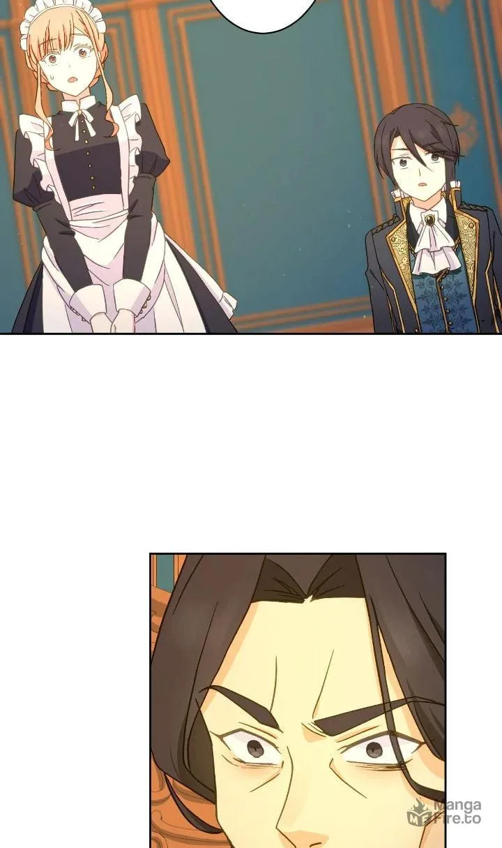 Reincarnated as the Antagonist