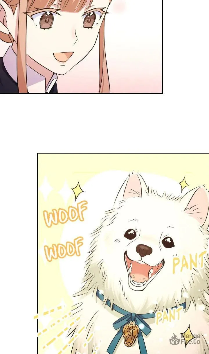 Reincarnated as the Antagonist