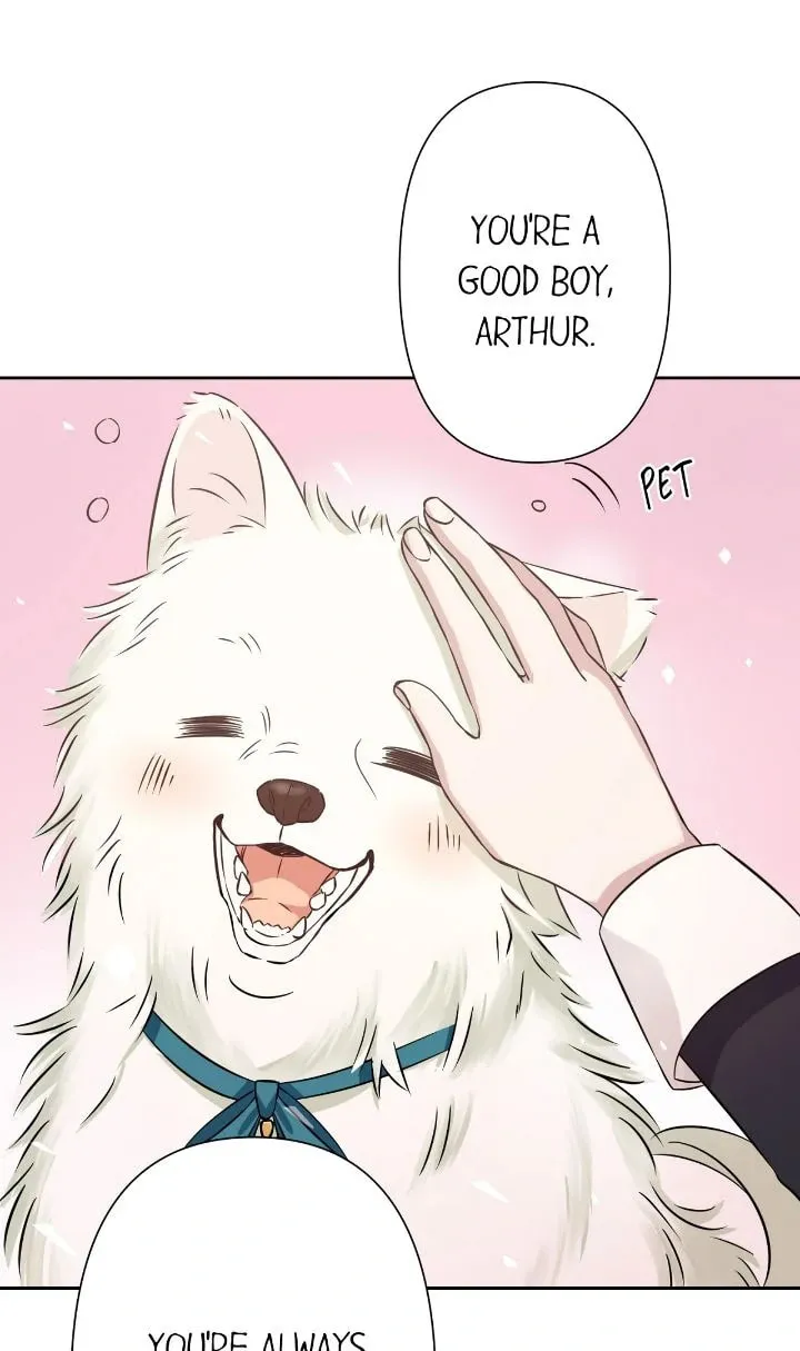Reincarnated as the Antagonist