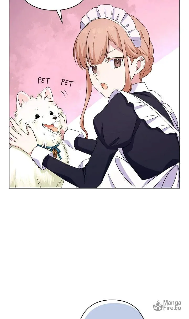 Reincarnated as the Antagonist