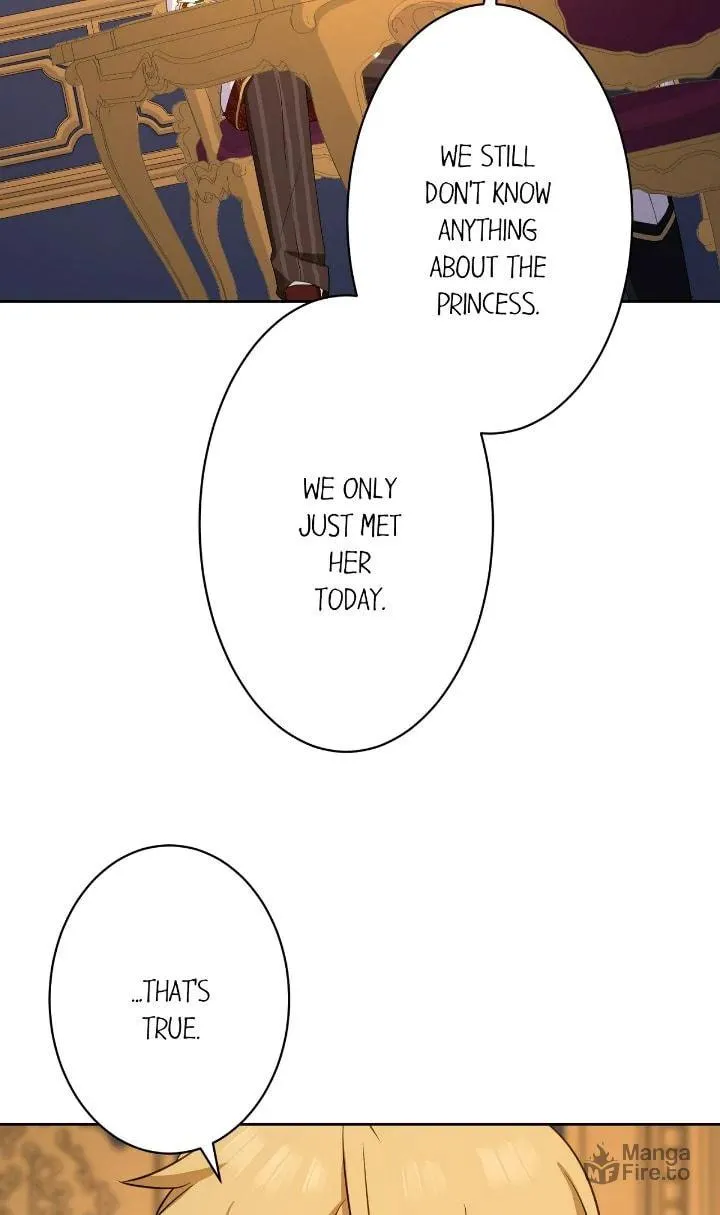 Reincarnated as the Antagonist