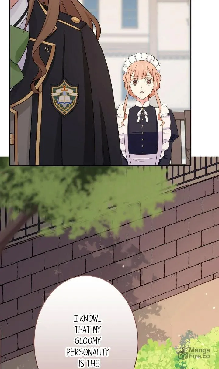 Reincarnated as the Antagonist