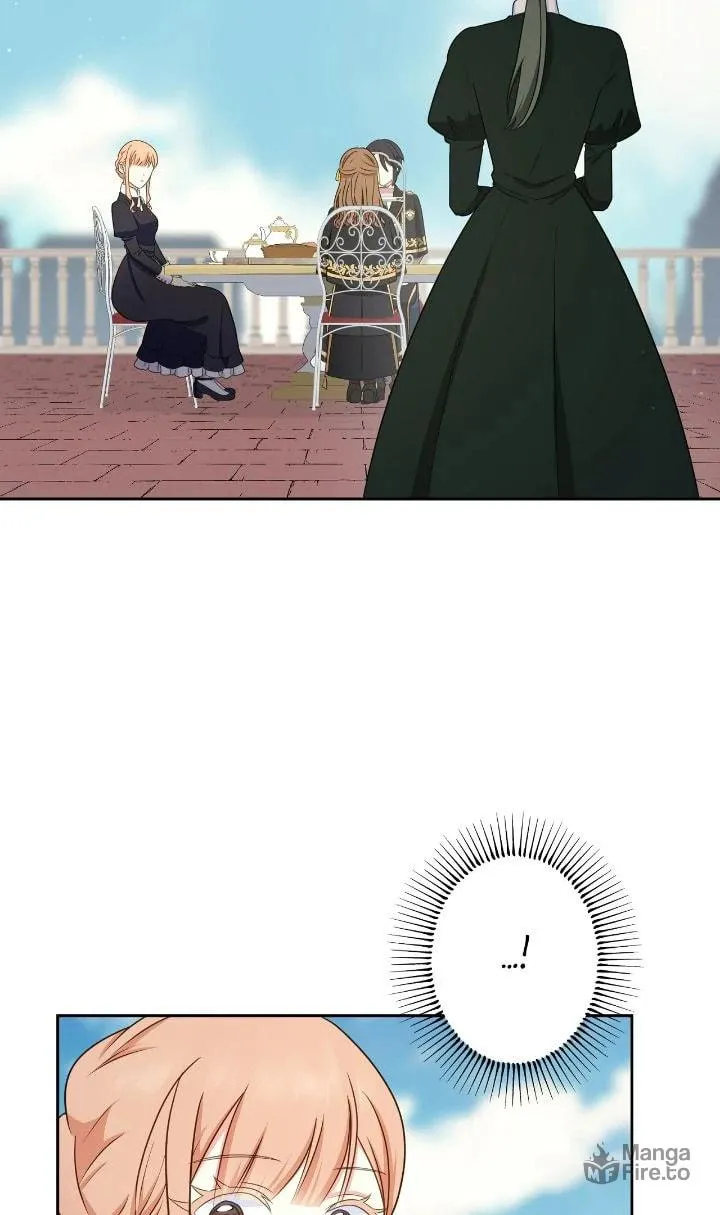 Reincarnated as the Antagonist