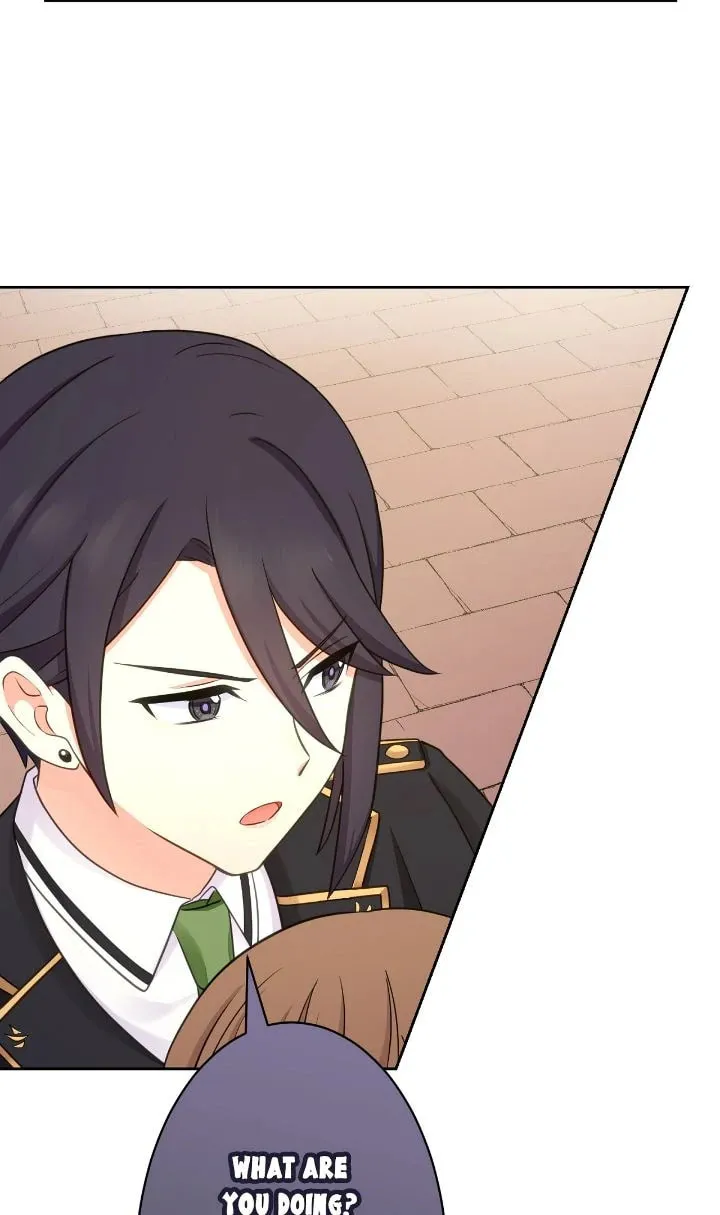 Reincarnated as the Antagonist