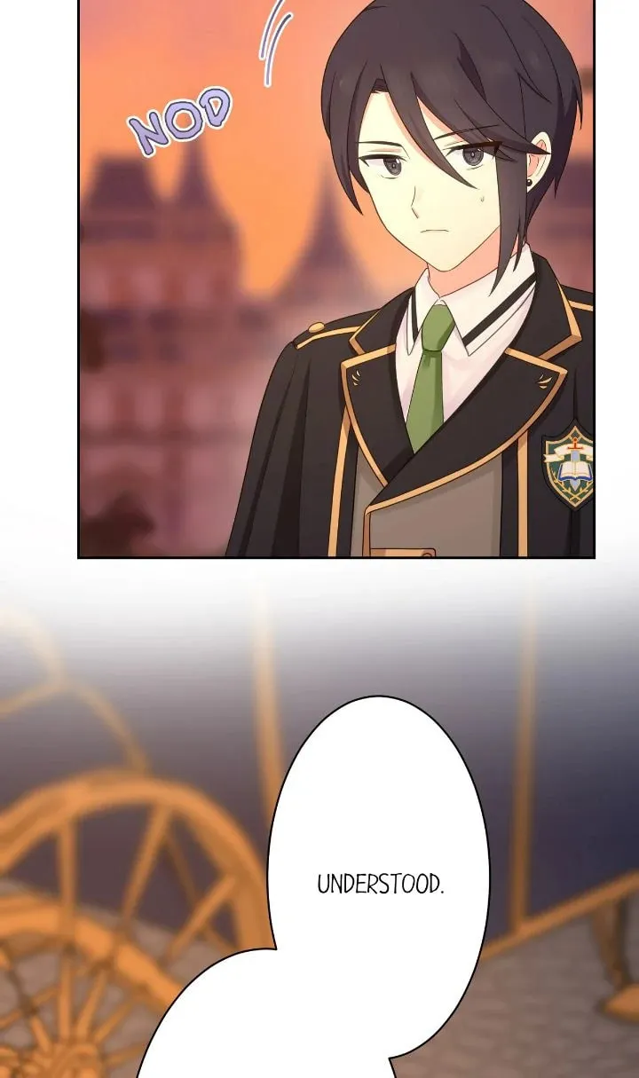 Reincarnated as the Antagonist
