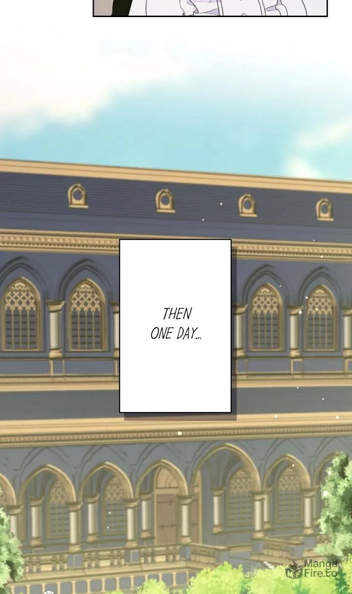 Reincarnated as the Antagonist
