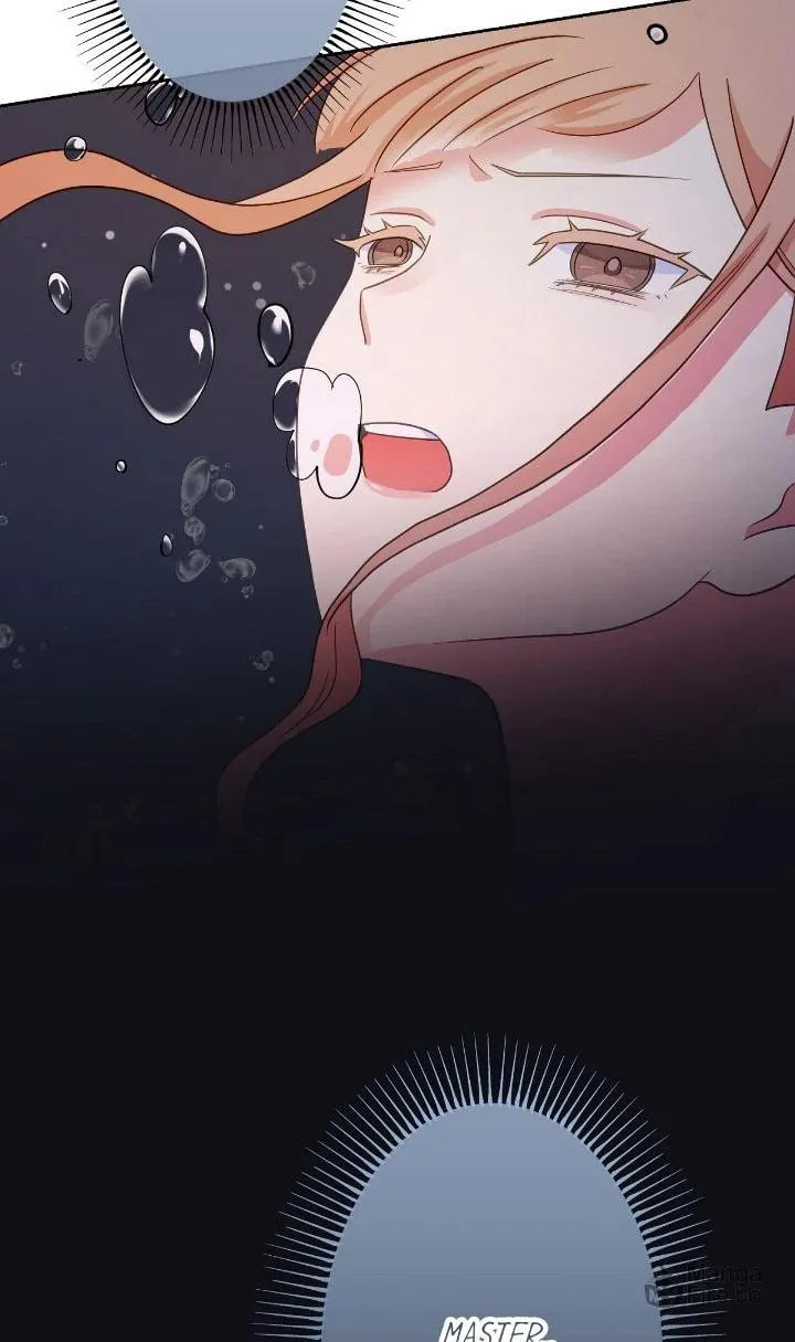 Reincarnated as the Antagonist