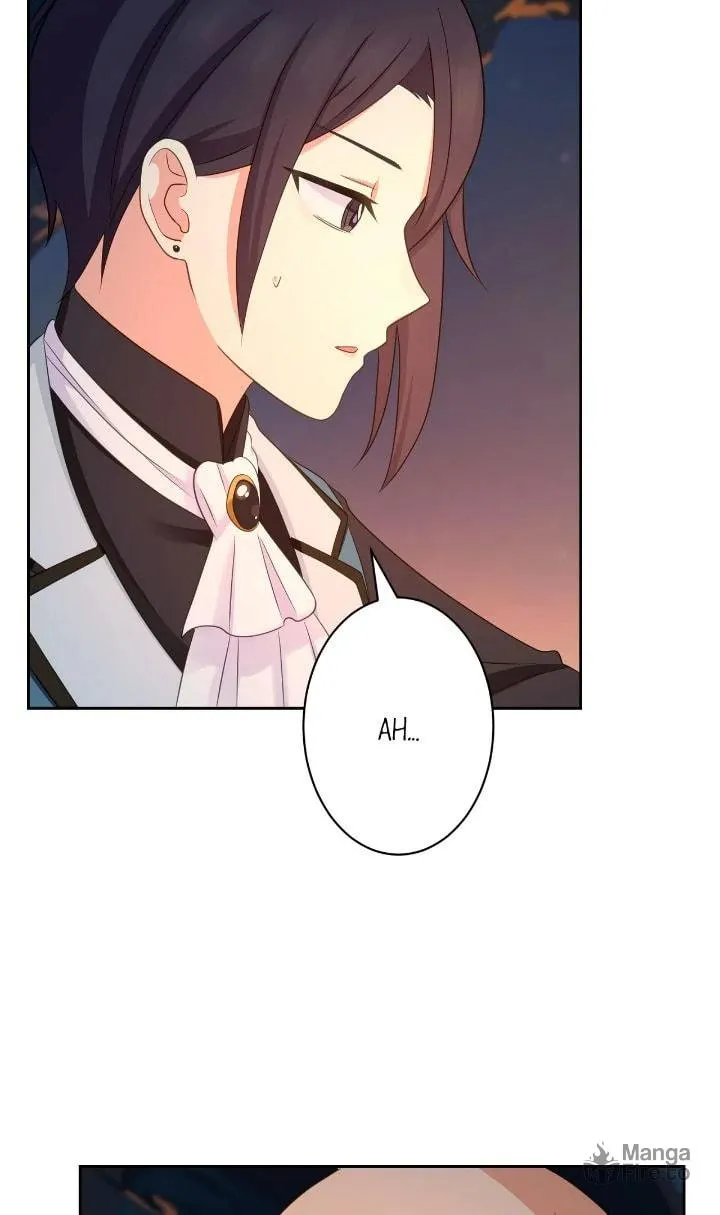 Reincarnated as the Antagonist