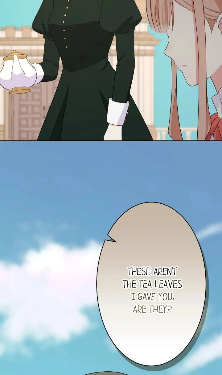 Reincarnated as the Antagonist