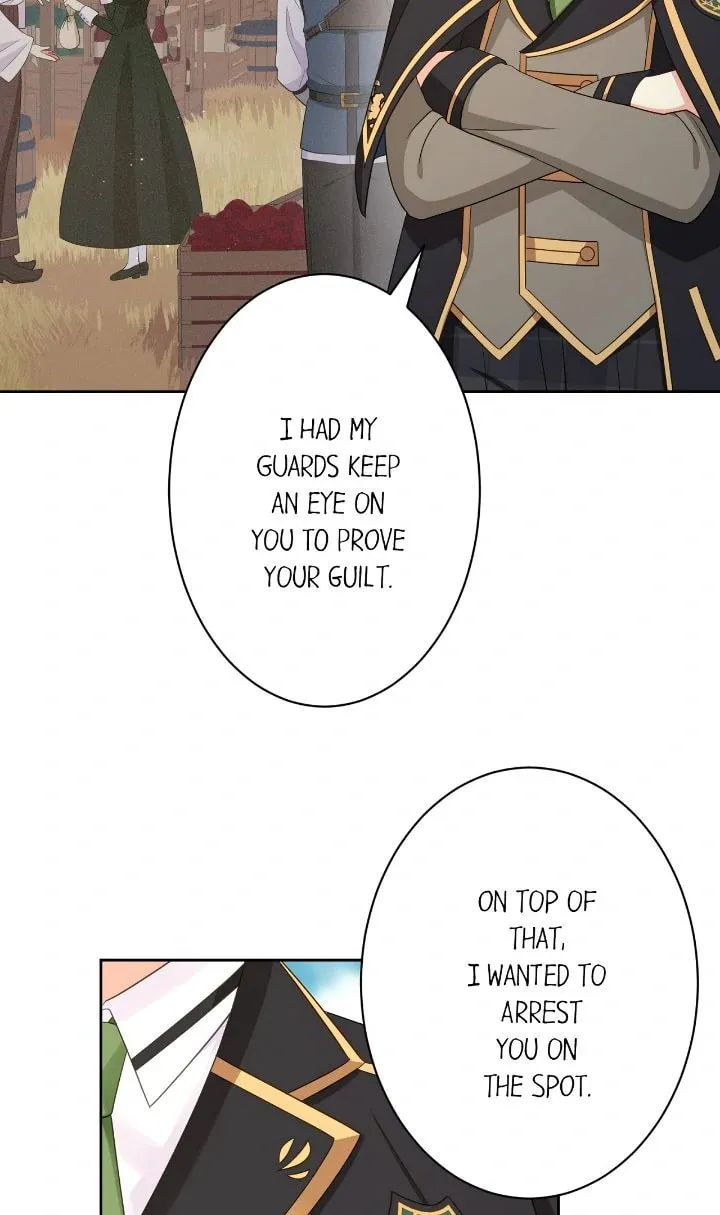 Reincarnated as the Antagonist